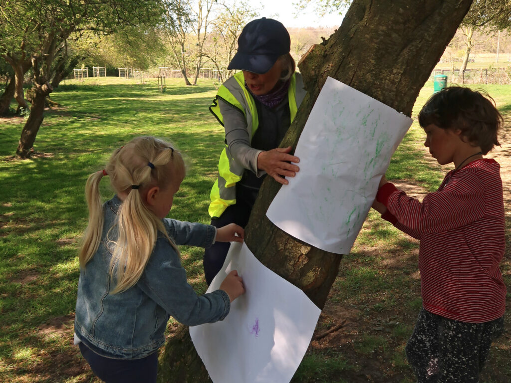 volunteer with two children bark rubbing in the Orchard volunteer with two children bark rubbing in the Orchard