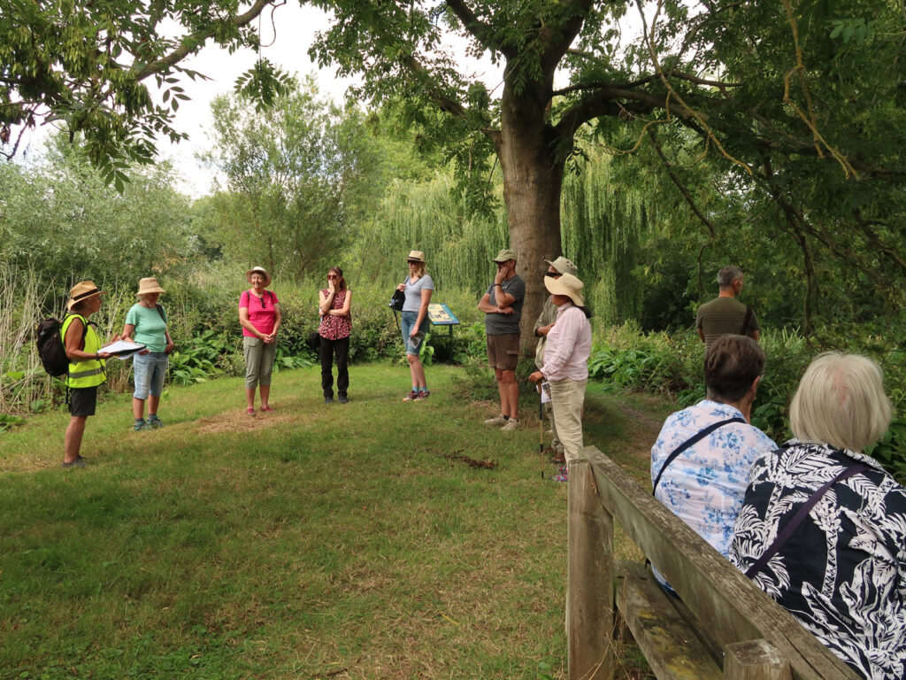 walkers listening to volunteer speaker under ash tree with riverside willows