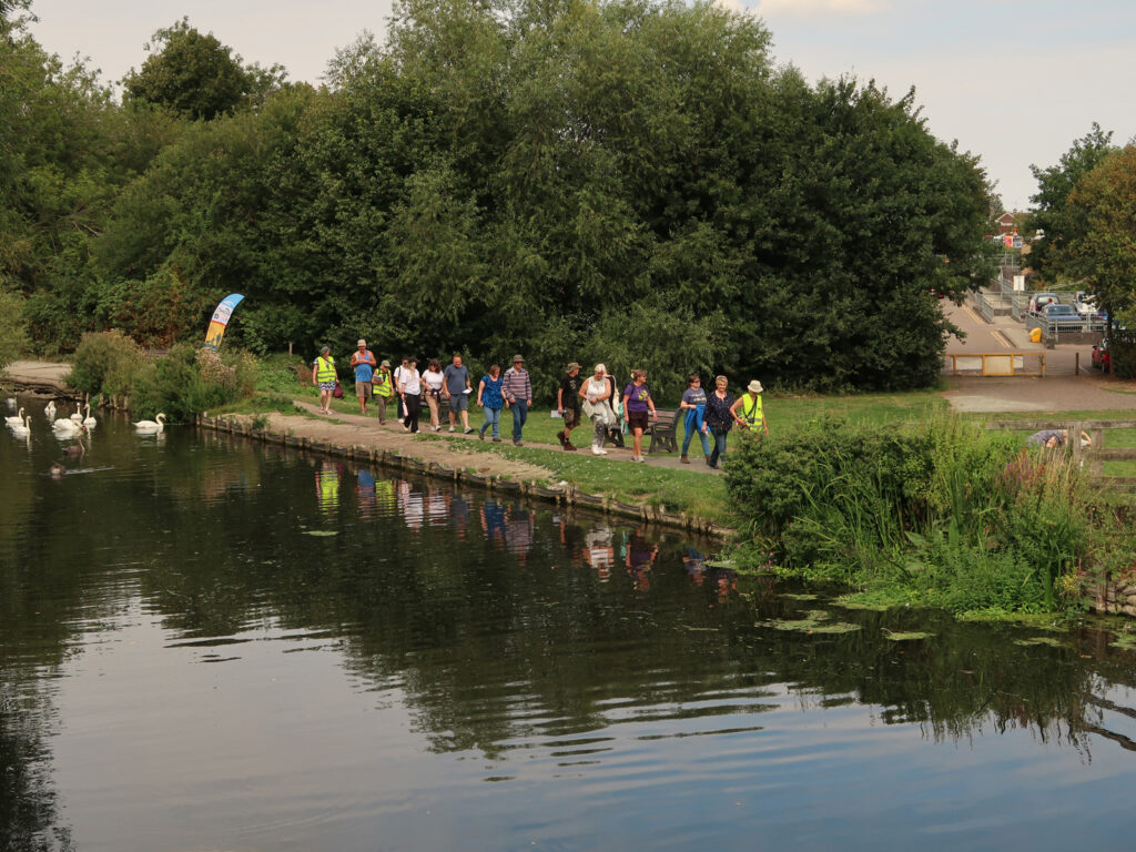 line of walkers by river with swans, from bridge