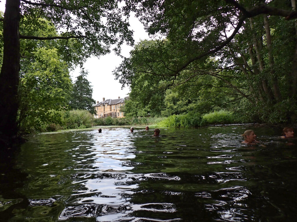 swimmers in river under shady trees with Ford Place behind