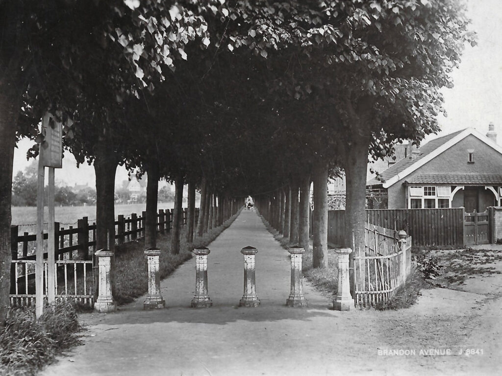 Victoria Avenue black-and-white postcard