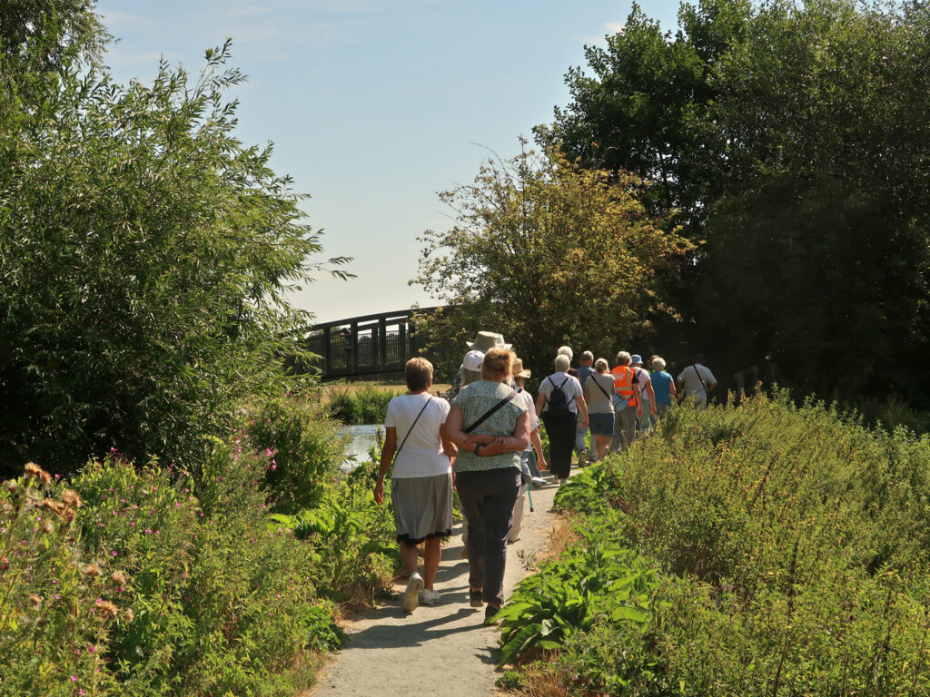 Walkers approaching Mildenhall Jubilee Bridge over the river on foliage edged path