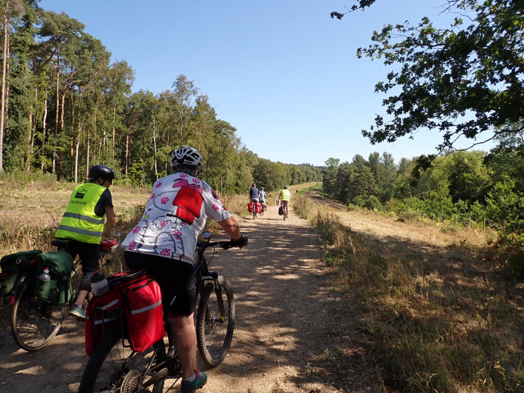 cyclists on a track downhill between forest and railway